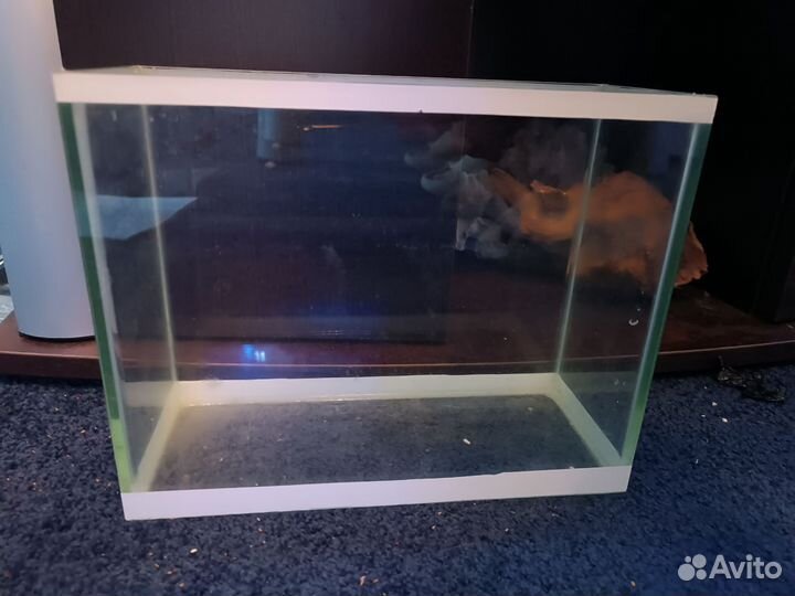 Аквариумы и грунт