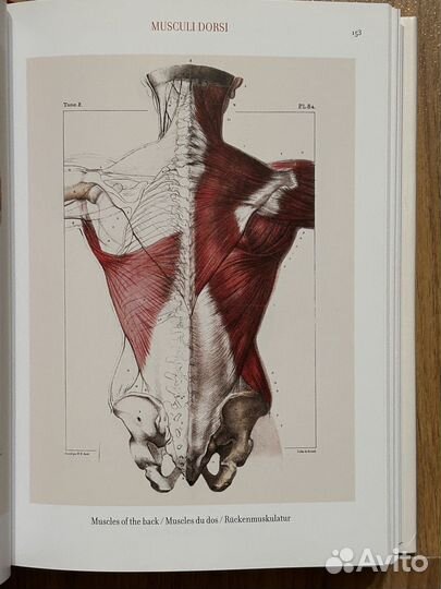 Atlas of human anatomy and surgery