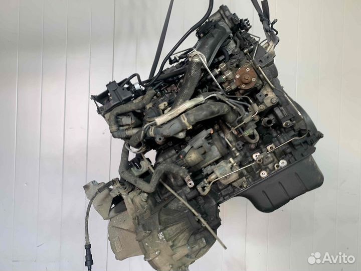 Двигатель Ford Focus 1.6d ngda