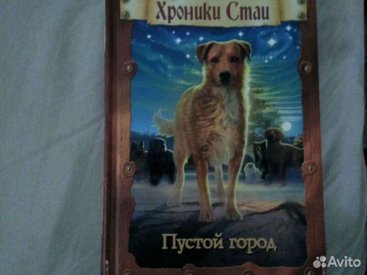 Земля отважных, Хроники Стаи