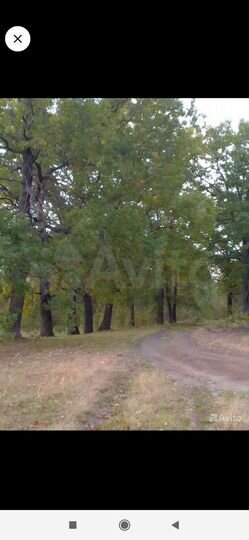 Участок 30 сот. (ИЖС)