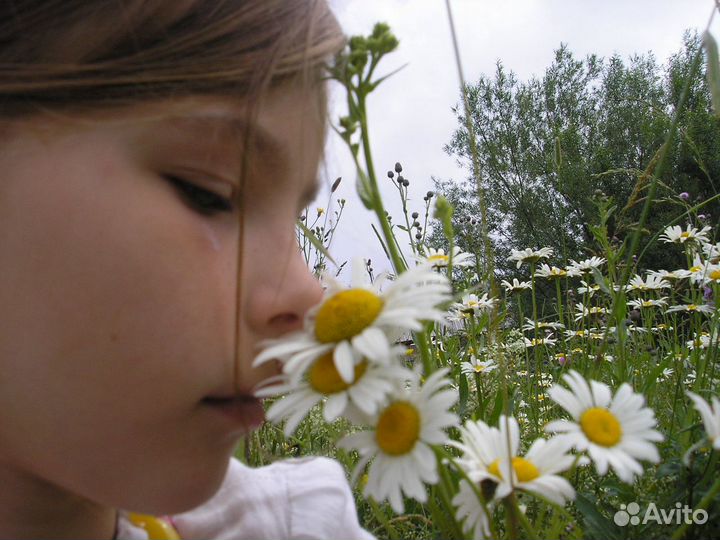 Няня Пермь, Закамск, Краснокамск