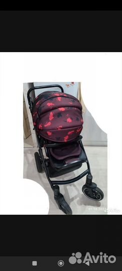 Коляска anex sport 3 в 1
