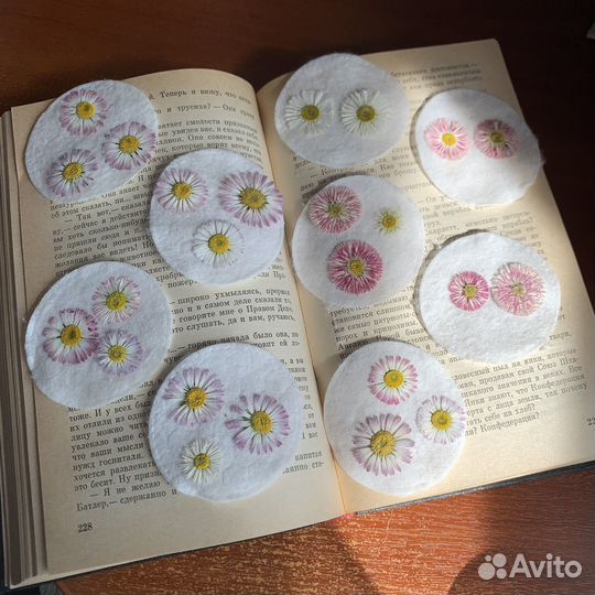 Цветы сухоцветы