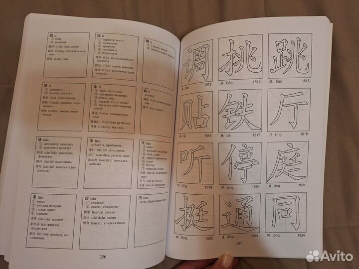 Н.А. Спешнев. Китайские иероглифы в карточках