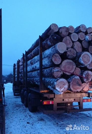 Лес кругляк