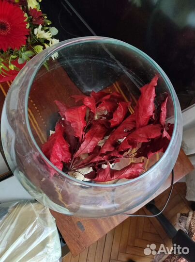 Круглый аквариум на подставке