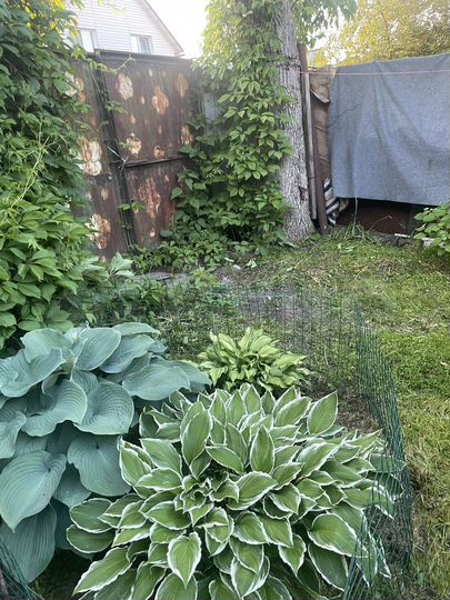 Участок 6 сот. (ИЖС)