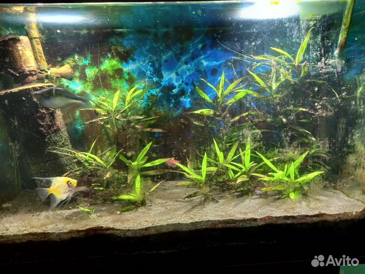 Аквариум