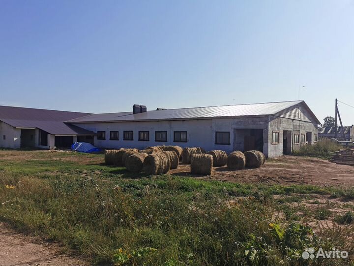 Фермерское хозяйство