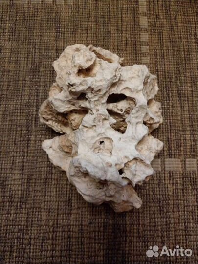 Камень в аквариуи