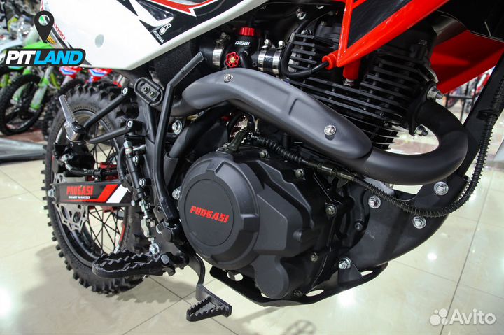 Питбайк progasi (Прогаси) smart 150 MAX 19/16