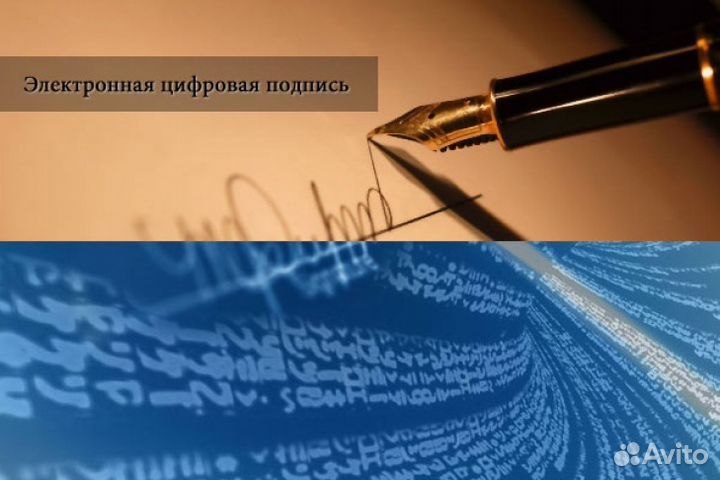 Регистрация, ликвидация ооо ип