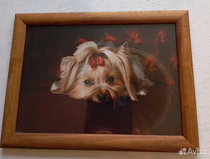 Фото в рамке