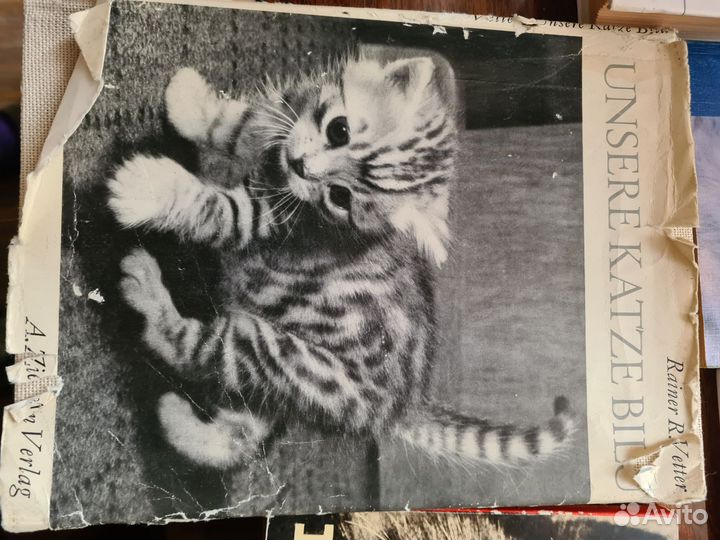 Книги о кошках(содержание,воспитание и т.д