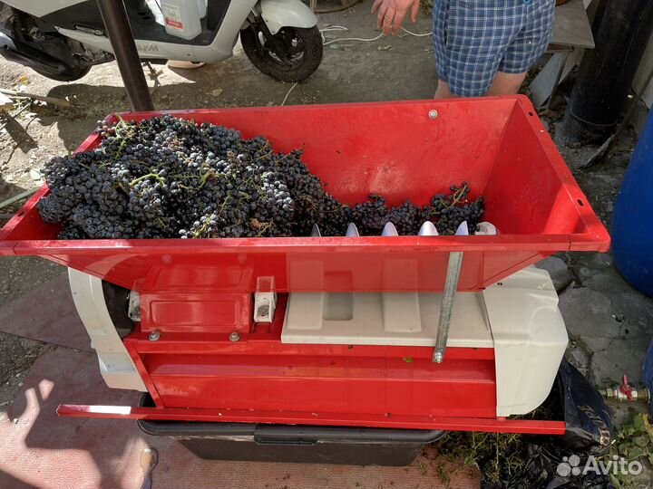 Дробилка с гребнеотделителем аренда