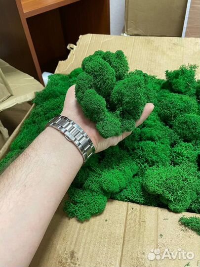 Стабилизированный ягель мох