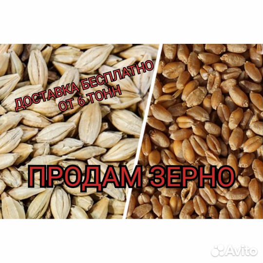 Доставка.Пшеница, ячмень, горох, крупы