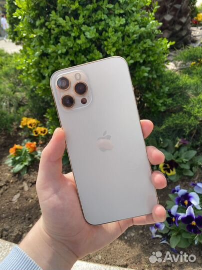 iPhone 12 Pro Max, 128 ГБ