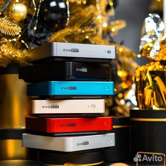 EvoBox/EvoBox Plus новая караоке система(гарантия)
