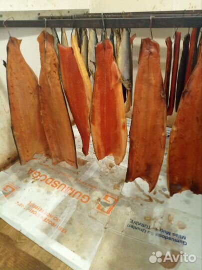 Рыба домашнего холодного копчения