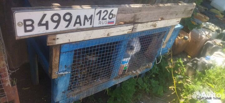 Клетка для кролика