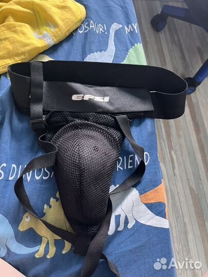 Ракушка хоккейная