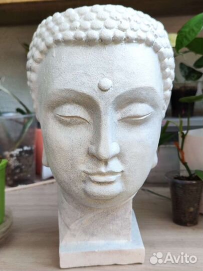 Кашпо, ящики, горшки