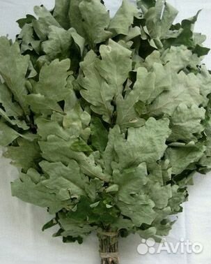 Банные веники из дуба, березы, липы