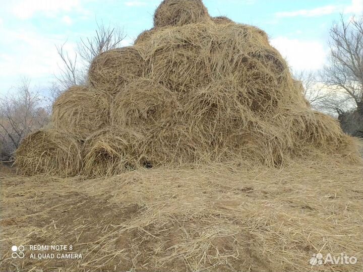 Сено в рулонах