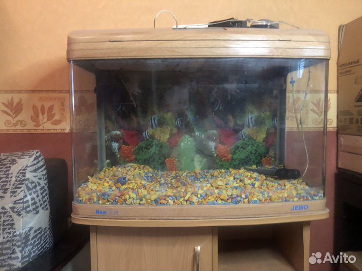 Аквариум jebo r375 с тумбой