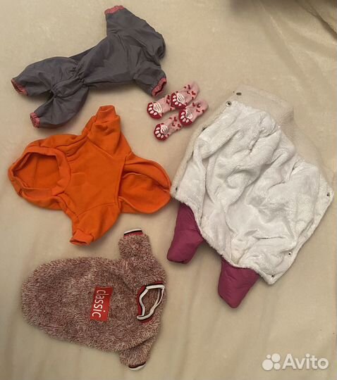 Одежда для собак