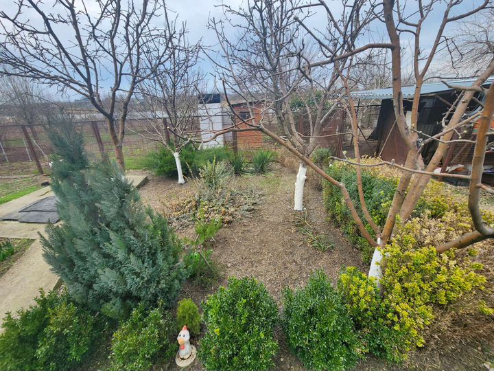 Дом 46,5 м² на участке 26 сот.