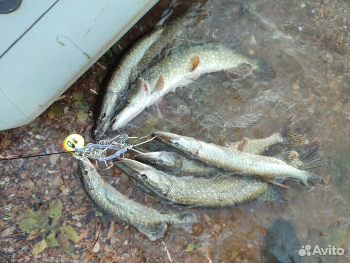 Воблер merial esca 17-M93 Миноуг суспендер ассорти