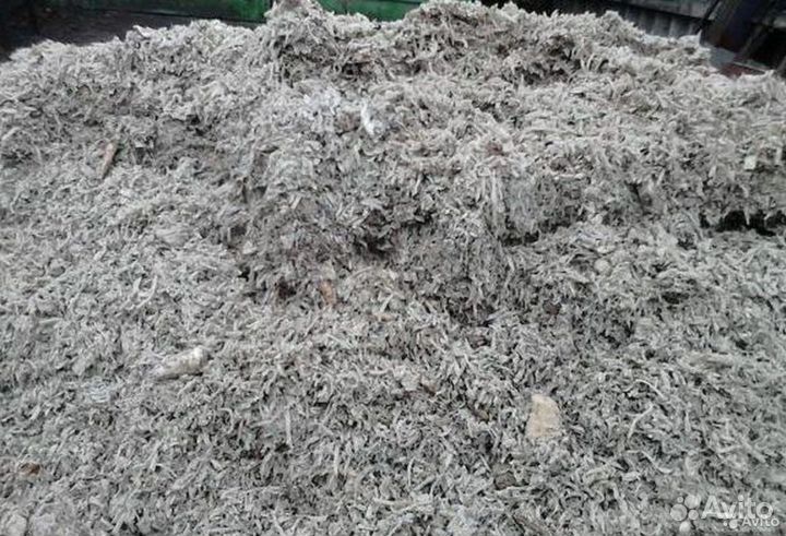 Жом свекловичный