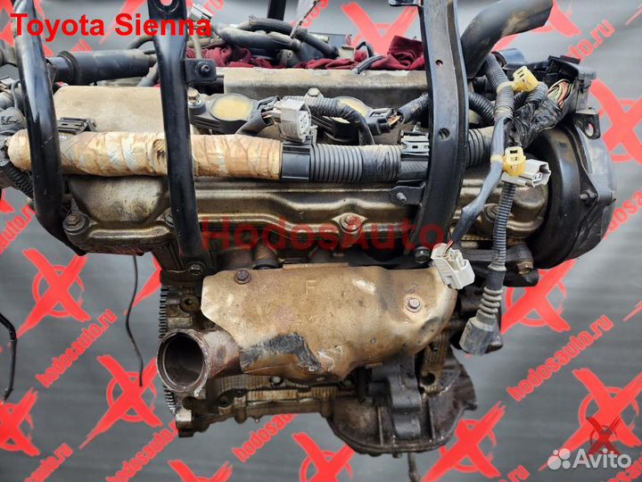 Двигатель 3MZ-FE Toyota Sienna