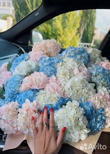 Букет цветов гортензия, гортензия цветы букет