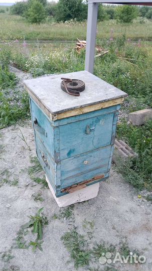 Улья для пчел бу