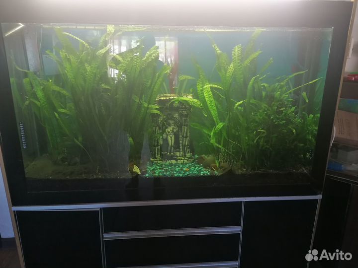 Аквариум