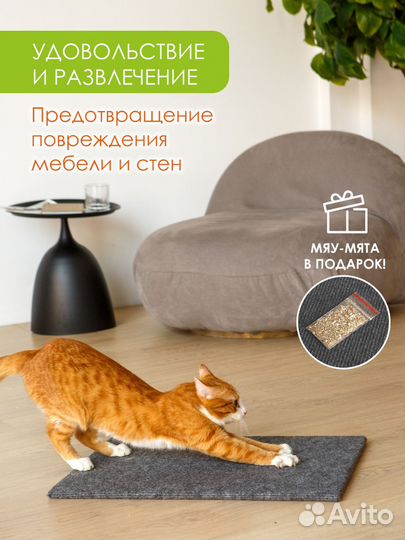 Когтеточка лежанка