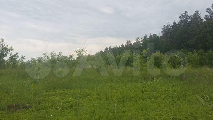 Участок 32,8 га (ИЖС)