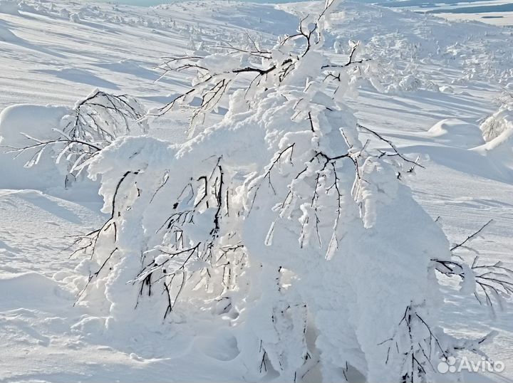 Экскурсия Сказка южного Заполярья