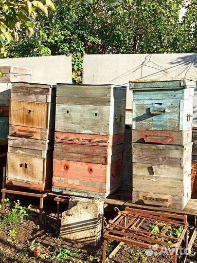 Ульи пчелинные