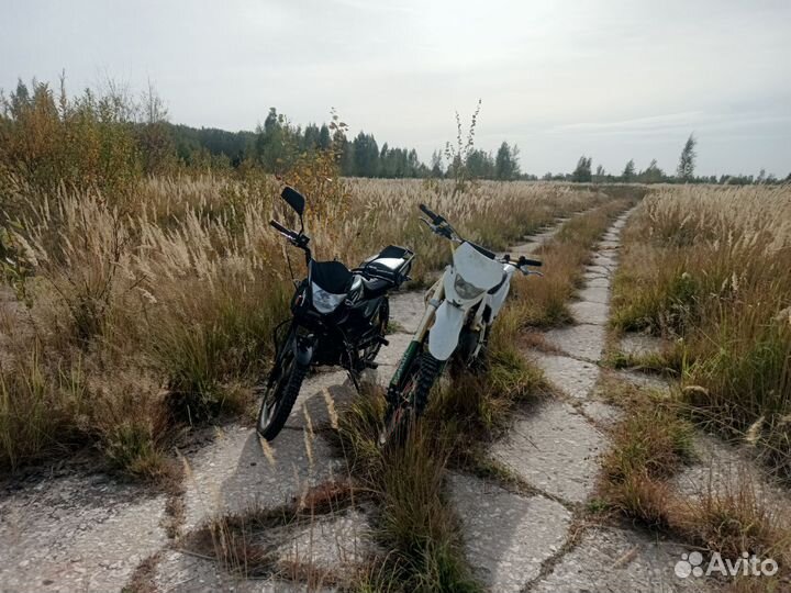 Питбайк fox124