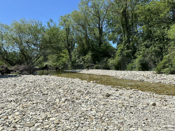 Участок 12 сот. (СНТ, ДНП)