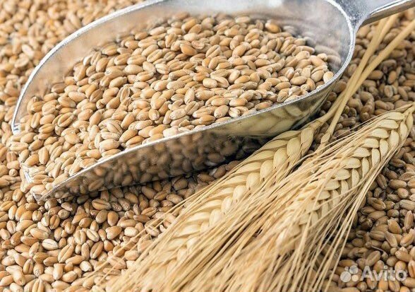 Кормосмесь