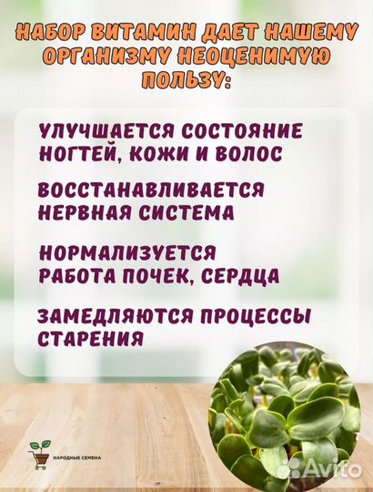 Микрозелень