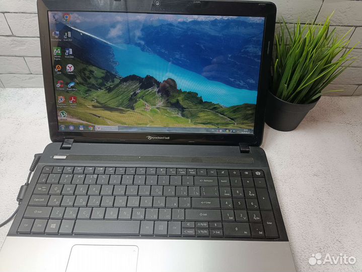 Ноутбук Packard Bell