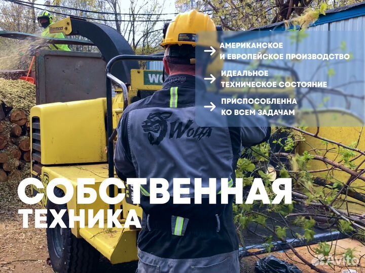Удаление деревьев/Расчистка участка в Зеленограде