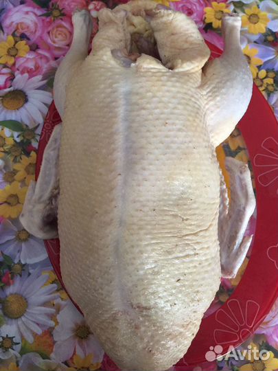 Мясо домашней птицы